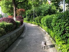 -喷泉公园