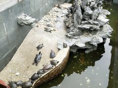 -东部华侨城