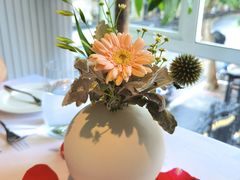 -蝶舍·MAISON PAPILLON