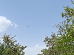 -长城西部影视城