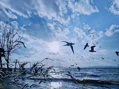 -捞渔河湿地公园
