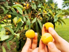 -杭州师范大学(下沙校区)