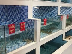 水产区-船奇蒸汽海鲜·闽菜(八市海鲜总店)