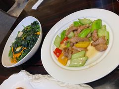 -湛江民大喜来登酒店-采悦轩中餐厅