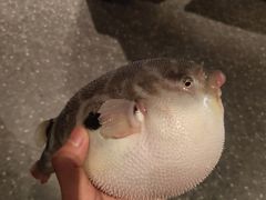 -永安鱼庄·镇江菜(东吴路店)