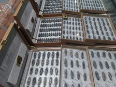 -果蔬好生活超市(乐堤港店)