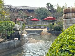 -西安国际创新人才交流中心•药浴温泉