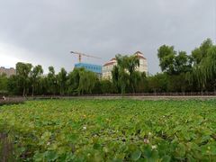 -迎泽公园
