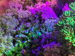 -山菌美食苑(振兴路店)