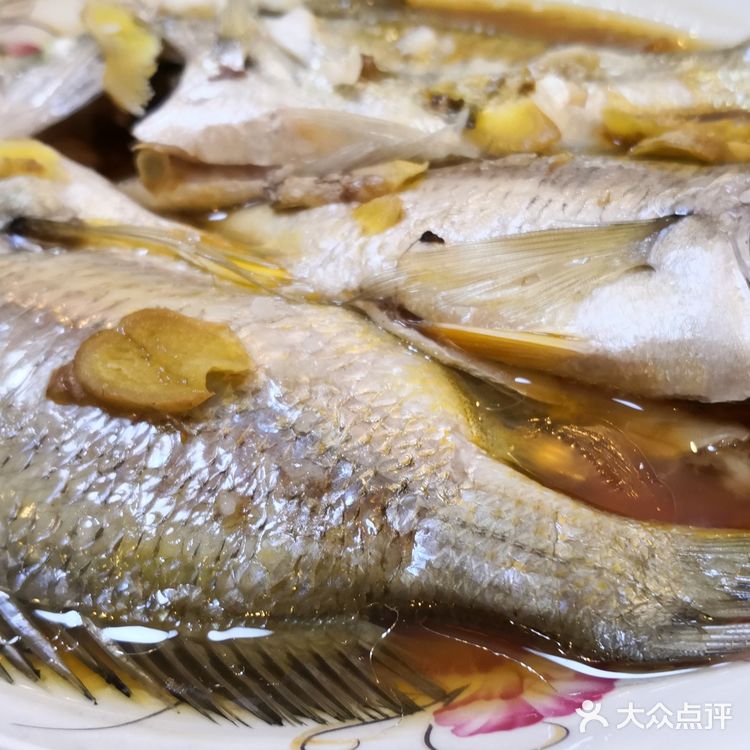 金厢赶海记