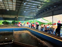 -粮心小农·大头虾亲子生态园(长发店)