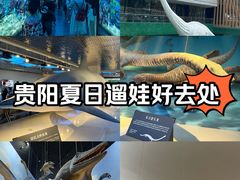 -贵州省地质博物馆
