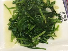 -香巴拉云南餐厅(华莱坞店)