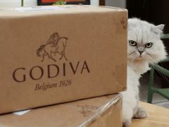 -GODIVA(港汇恒隆广场)