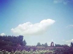 -北纬44度·金珠花海休闲农业旅游景区