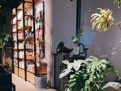 -百好乐宠物友好餐厅(朝外大街店)