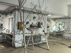 -哈尔滨北方森林动物园