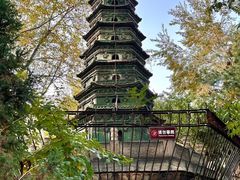 -文瀛公园