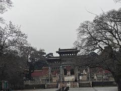 -北陵公园