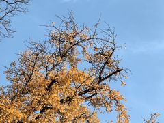 -苏州碑刻博物馆