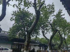 -麦禾酒店(十全街苏州大学店)