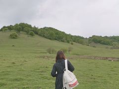 -关山草原