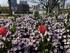 -北外滩滨江绿地