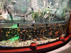 -太平洋海底世界