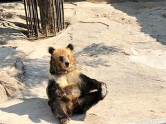 -大连森林动物园