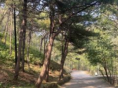 -老象峰