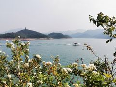 -望湖烤鱼