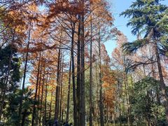 -苏州河梦清园环保主题公园