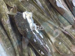 -陈家镇裕安农贸市场