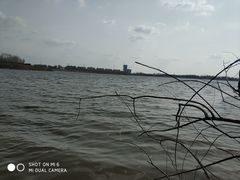 -沈阳鸟岛