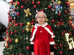 -皇家茱莉亚艺术明星训练基地