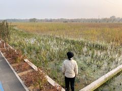 -永定河休闲森林公园