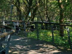 -西湖风景区-江洋畈生态公园