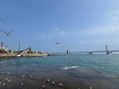 -星海广场