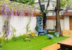 -瞳孔摄影(植物园路店)