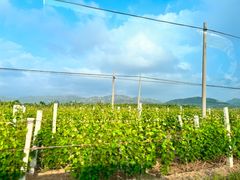 -大泽山风景名胜区