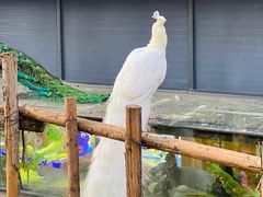 -昆明动物园