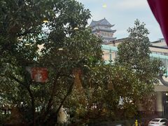 -甘家界牌柠檬鸭(青山店)