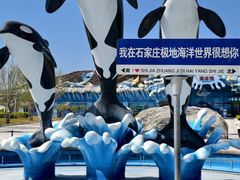 -石家庄极地海洋世界
