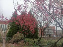 -山东外贸职业学院