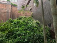 -香港大学