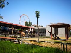 -石家庄市动物园