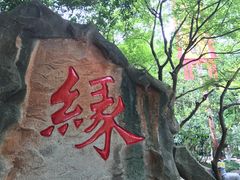 -杭州黄龙洞