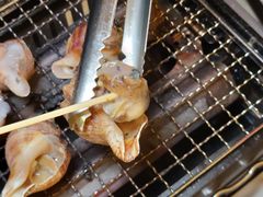 -白仁仔· 活烤海鲜 宵夜(豫园店)