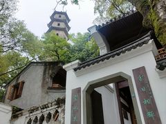 -江心屿景区