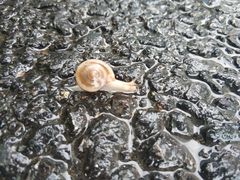 -和枫の宴日式料理(潘家园店)